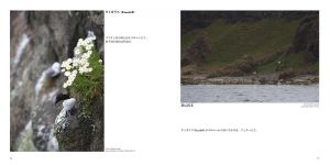 p16-17_rev1