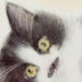 ڗk / ׂ̂񂾂