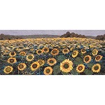 Hill of Sunflowers